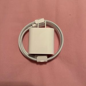Original iPhone charger